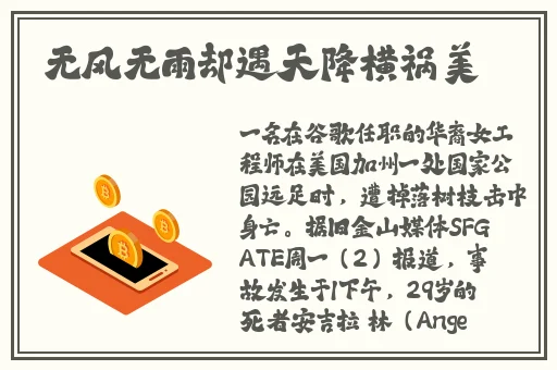 仙踪林老狼corporation 介绍